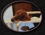 Button 8